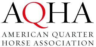 American Quarter Horse Association scholarship