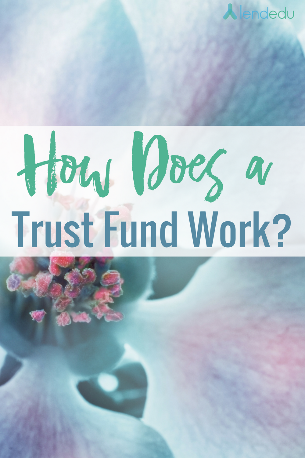 Trust funds are what Trust funds are what