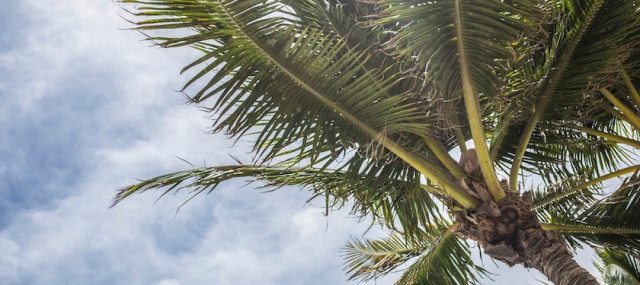 Best places to buy a home in florida