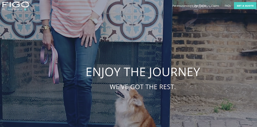 Figo Pet Insurance Homepage