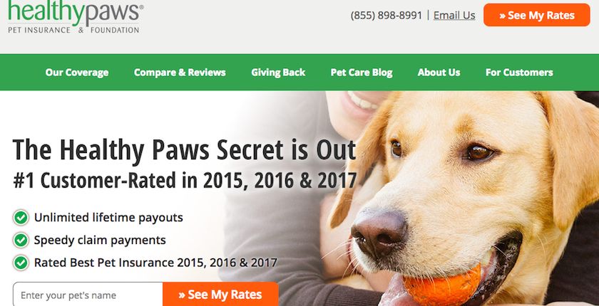 Healthy Paws Pet Insurance Review | LendEDU