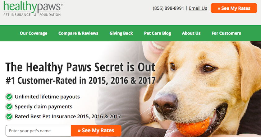 Healthy Paws Pet Insurance Review | LendEDU