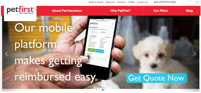 PetFirst Pet Insurance Review