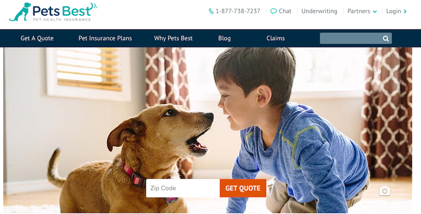 Pets Best Pet Insurance Review