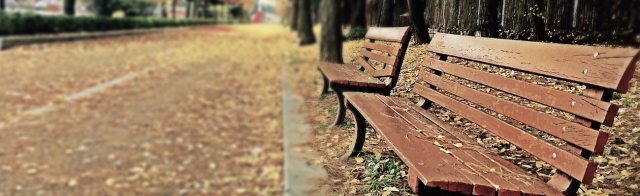 bench