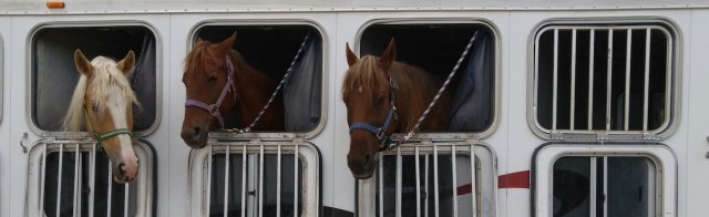 Horse Trailer Financing: How and Where to Secure Funding