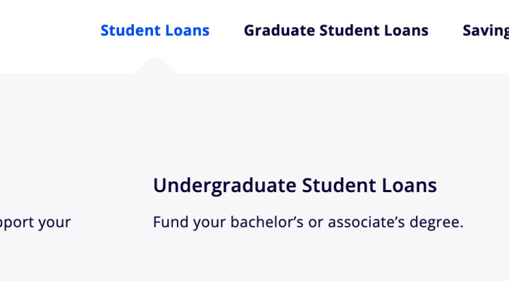 Sallie loan types