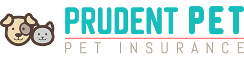 Prudent Logo