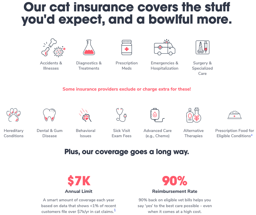 Pumpkin Cat Insurance Coverage