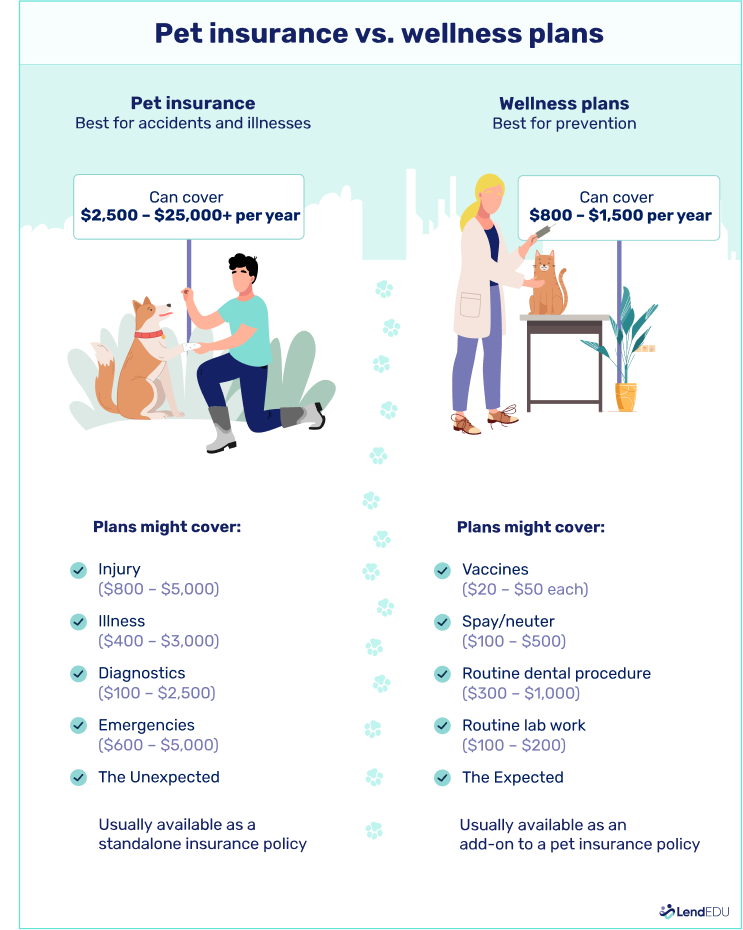 Pet insurance vs. wellness plans
