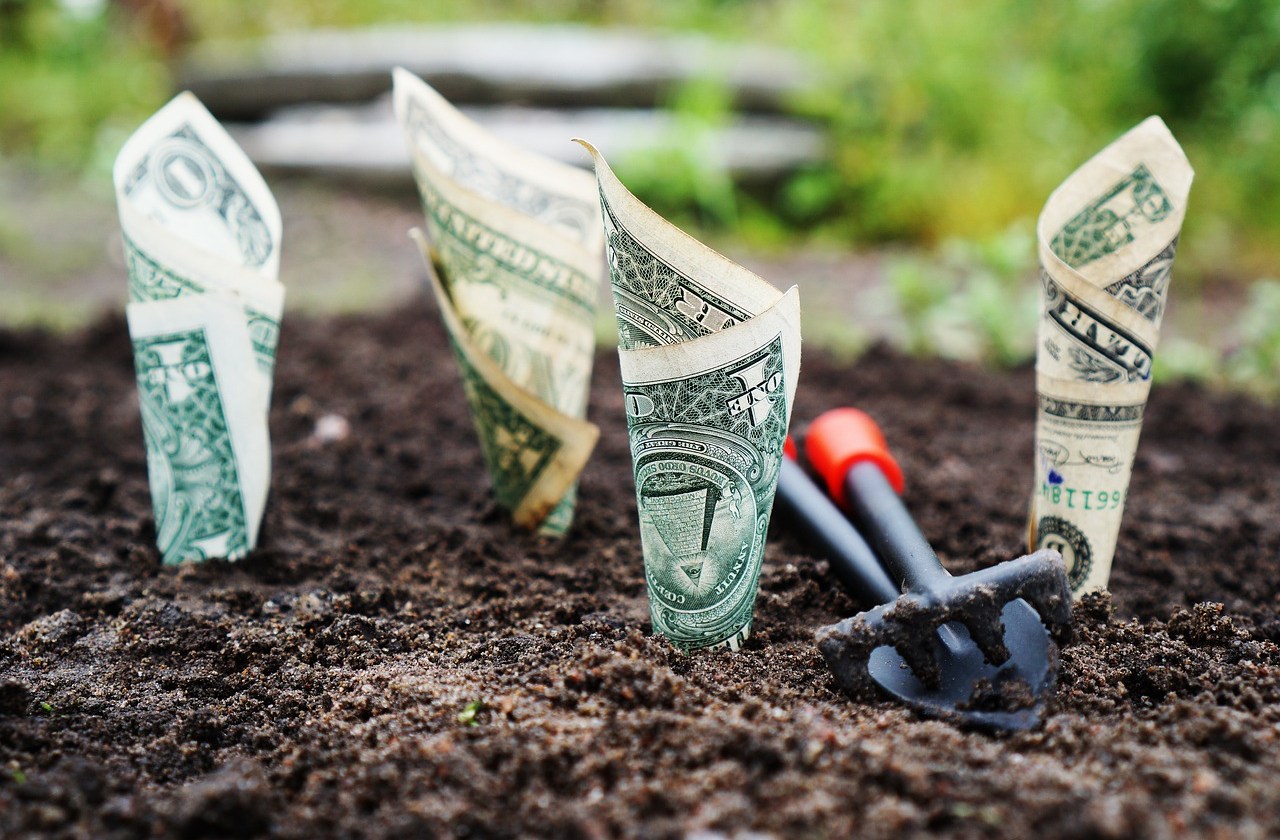 Best High-Yield Savings Accounts of May 2026
